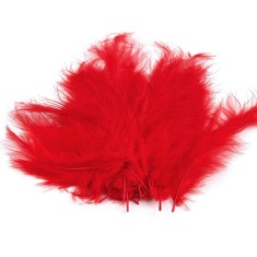 Set 20 pene decorative strut, lungime 9-16 cm, Rosu