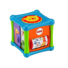 Jucarie Cub cu activitati Fisher Price foto