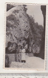 Bnk foto - Cheile Bicazului - anii `50, Alb-Negru, Romania de la 1950, Natura