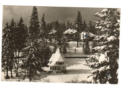 CPIB 20418 CARTE POSTALA - IARNA LA PREDEAL foto