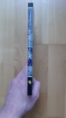 Tomoko Sato - Arta japoneza (2008) Japonia pictura istoria artei japoneze
