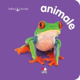 Animale. Bebe &icirc;nvață