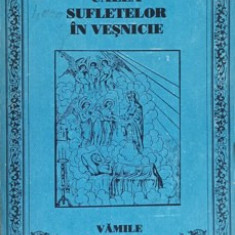 CALEA SUFLETELOR IN VESNICIE VAMILE VAZDUHULUI VOL.1-PROTOS. NICODIM MANDITA