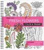 Color and Frame Fresh Flowers