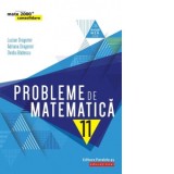 Probleme de matematica pentru clasa a XI-a