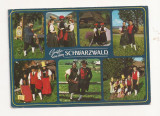 FA1 - Carte Postala - GERMANIA - Schwarzwald, circulata 1989, Necirculata, Fotografie
