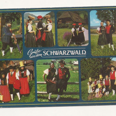 FA1 - Carte Postala - GERMANIA - Schwarzwald, circulata 1989