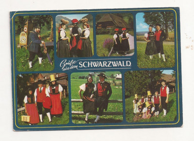 FA1 - Carte Postala - GERMANIA - Schwarzwald, circulata 1989 foto