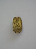 QW9 N8 13 - insigna - tematica simbolistica - Ursul bavarez - Berlin - DDR, Europa