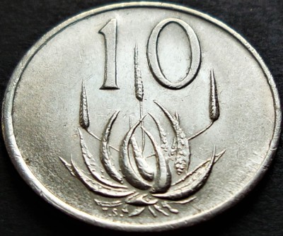 Moneda 10 CENTI - AFRICA de SUD, anul 1978 *cod 5162 = excelenta foto