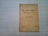 CE ESTE ARTA ? - Conferinta Tinuta la Teatrul National - Dem D. Passalega - 1920, Alta editura