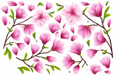 Sticker Flori de Magnolie - 60x90 cm foto