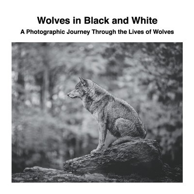 Wolves in Black and White: A Photographic Journey Through the Lives of Wolves foto