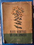 PLANTE MEDICINALE DIN FLORA SPONTANA - CORNELIU CONSTANTINESCU; ARTIN AGOPIAN