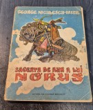 Sageata de aur a lui Norus George Niculescu Mizil ilustratii Constantin Florescu
