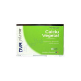 CALCIU VEGETAL 20CPS, DVR Pharm