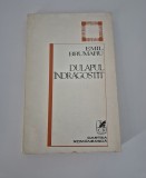 Emil Brumaru Versuri Dulapul indragostit