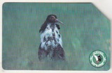 bnk card Cartele telefonice - Polonia - fauna - pasari - Biebrzanski National Park 8/10