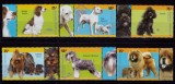 Cumpara ieftin ✅ ( S12 ) Argentina 2006 " Rase de caini " , frumoasa serie cu tabs , Michel 3056/3061 , MNH
