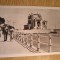 QW24 C - Carte postala - tematica turism - vedere - Constanta 27