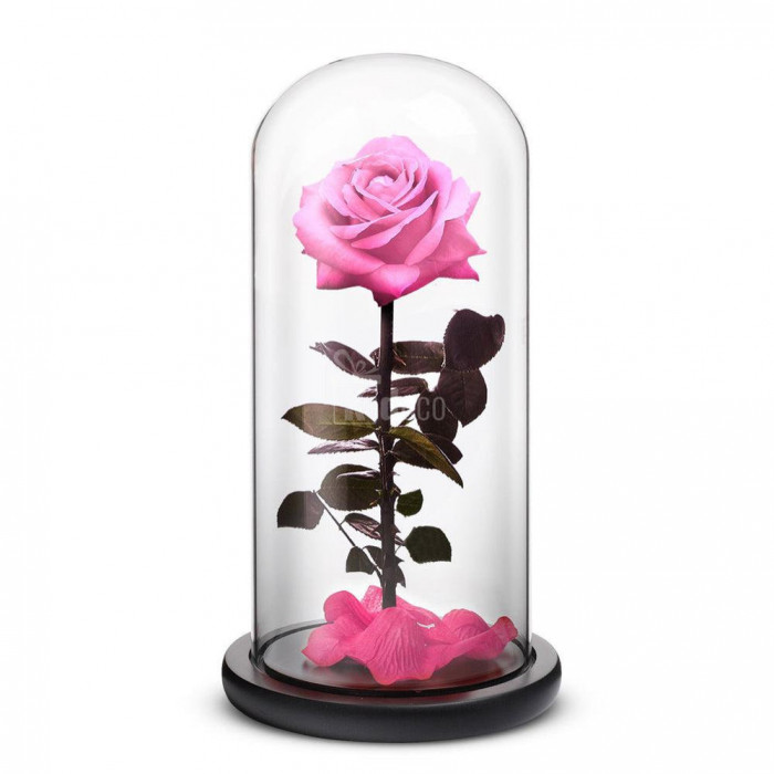 Trandafir Criogenat premium roz pastel &Oslash;8cm in cupola 12x25cm