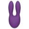 icon 6