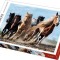 PUZZLE TREFL 1000 CAI LA GALOP