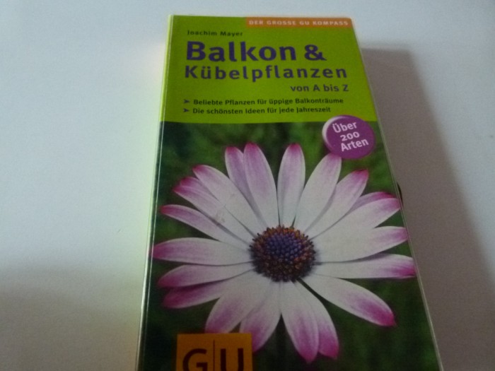 Plante de balcon , germana