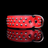 Zgardă Studded ,roșu - negru 4 cm x 33 - 42 cm