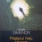 PRIETENUL MEU MAIGRET-GEORGES SIMENON-269820