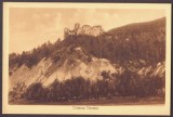3604 - CETATEA NEAMTULUI, Romania - old postcard - unused