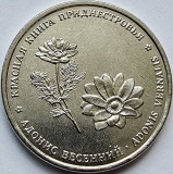 1 rubla 2021 Transnistria, Spring Adonis, unc, 15.000 ex