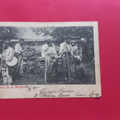 Etnic Tigan Zigeuner cigány gypsi Ursari Tigani de la Munte 1901