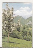 bnk cld Calendar de buzunar - 1988 - ONT - Podu Dambovitei
