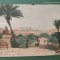 NISA FRANTA ,vedere gradinile din Nisa , CARTE POSTALA , anul 1905 , circulata interesanta , ,