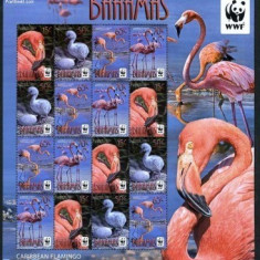 WWF BAHAMAS 2012-Pasari Flamingo-Coala de 4 serii cu 4 timbre nestampilate