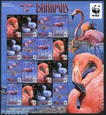 WWF BAHAMAS 2012-Pasari Flamingo-Coala de 4 serii cu 4 timbre nestampilate