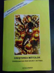 Cresterea Matcilor - F. Ruttner ,546352 foto