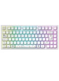 Dark Project Nova Keyboard White 81 Rgb Wireless