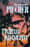 Rosamunde Pilcher - Tigrul adormit
