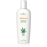 Cannaderm Capillus Anti-Dandruff Shampoo sampon anti-matreata cu ulei de canepa 150 ml