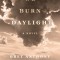 We Burn Daylight