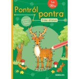Pontr&oacute;l Pontra - Erdei &aacute;llatok