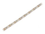 Bandă LED alb rece 120 LED/m IP65 12V