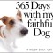365 Days with My Faithful Dog