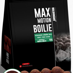 Haldorado - Boilies-uri Max Motion Boilie Premium Soluble 24mm, 800g - Ficat rosu condimentat