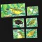 nauru pasari mnh