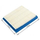 Cumpara ieftin Filtru Aer Briggs - Stratton 3,5 CP, Quantum
