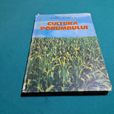 CULTURA PORUMBULUI * FLOREA GRUIA / 1986 *