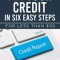 Fix Your Credit in Six Easy Steps: For Less Than $50